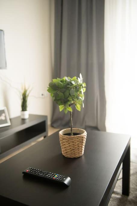 Markopoulosapartments Nea Moudania Zewnętrze zdjęcie
